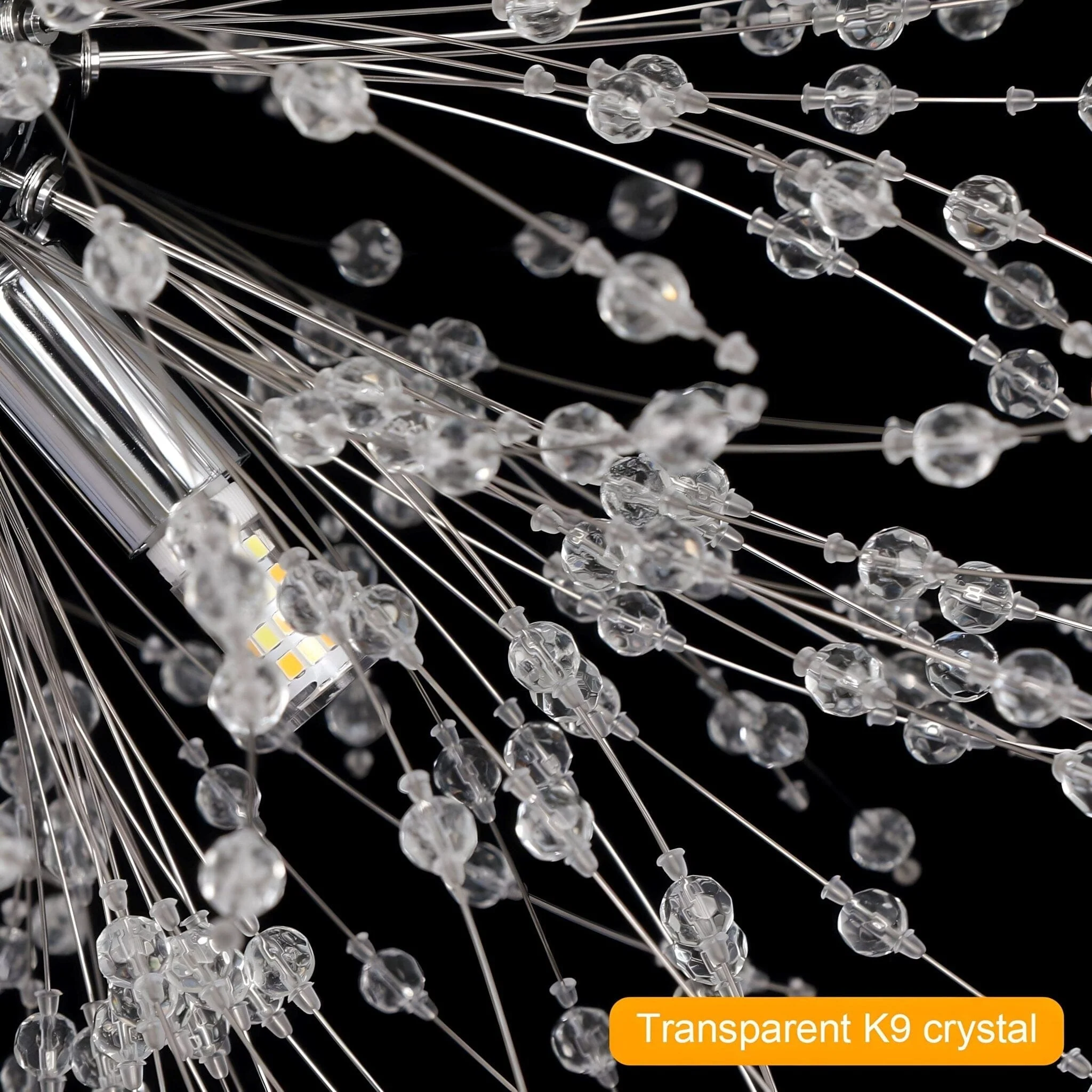 DANDELION - Image 18