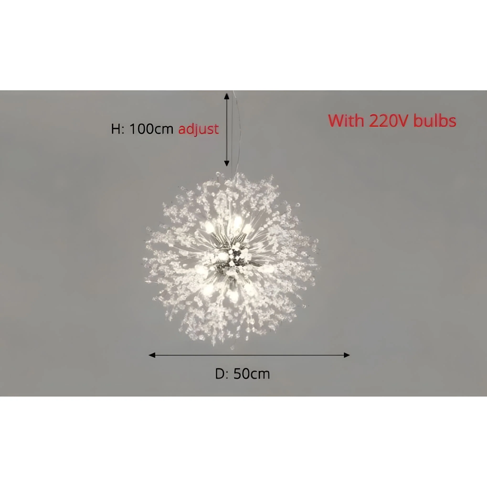 DANDELION - Image 21
