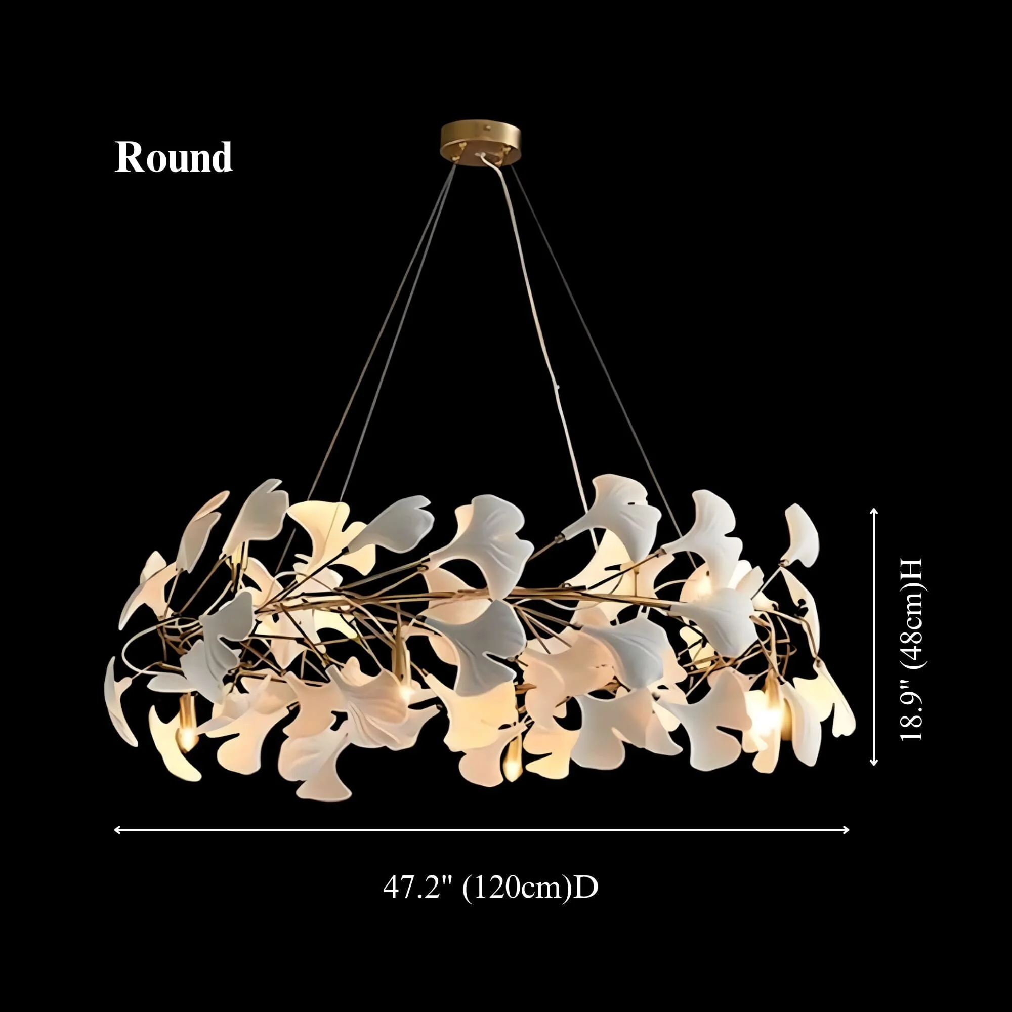 GINGKO (OPEN BOX) - Image 6