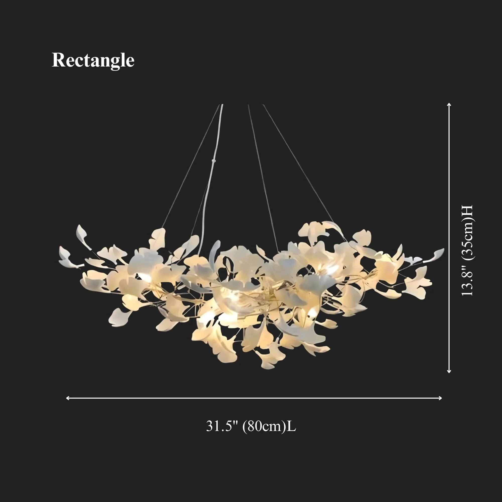 GINGKO (OPEN BOX) - Image 8
