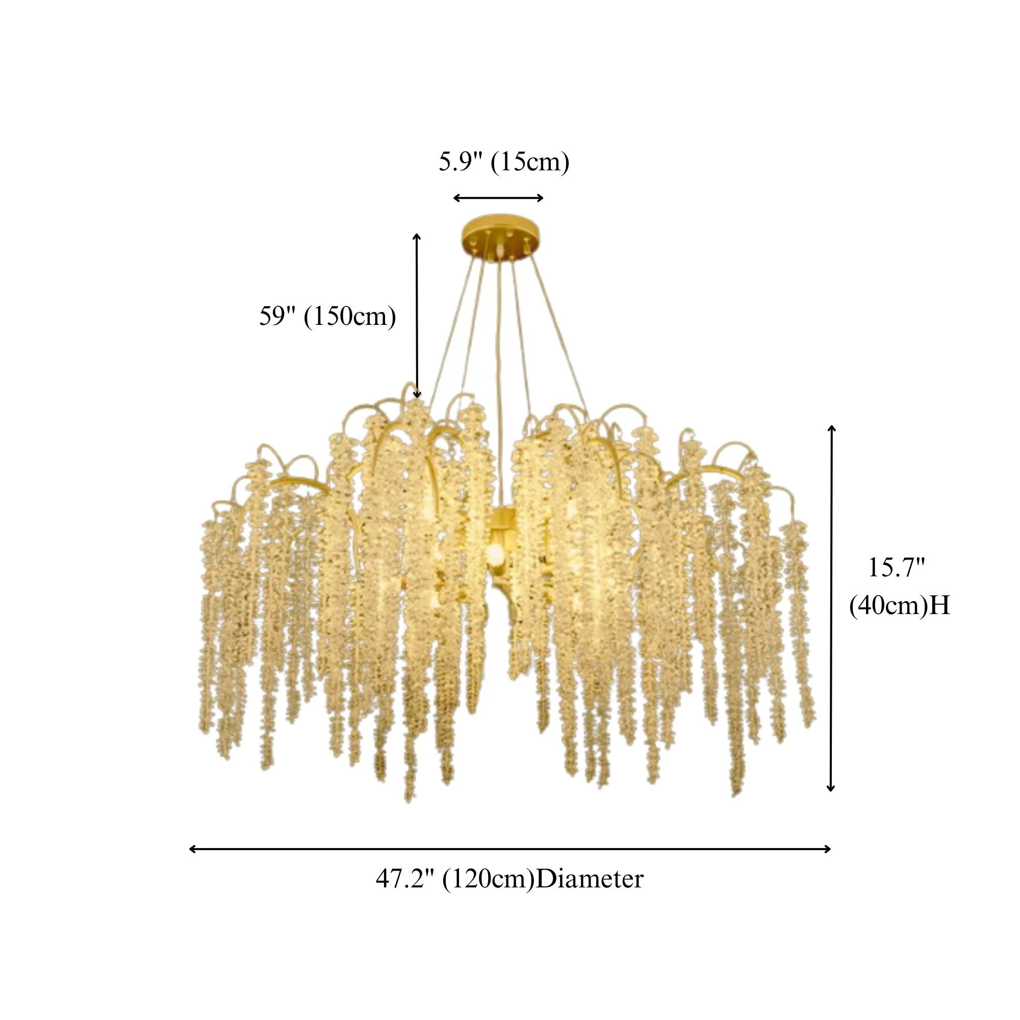 ORCHID - Image 19