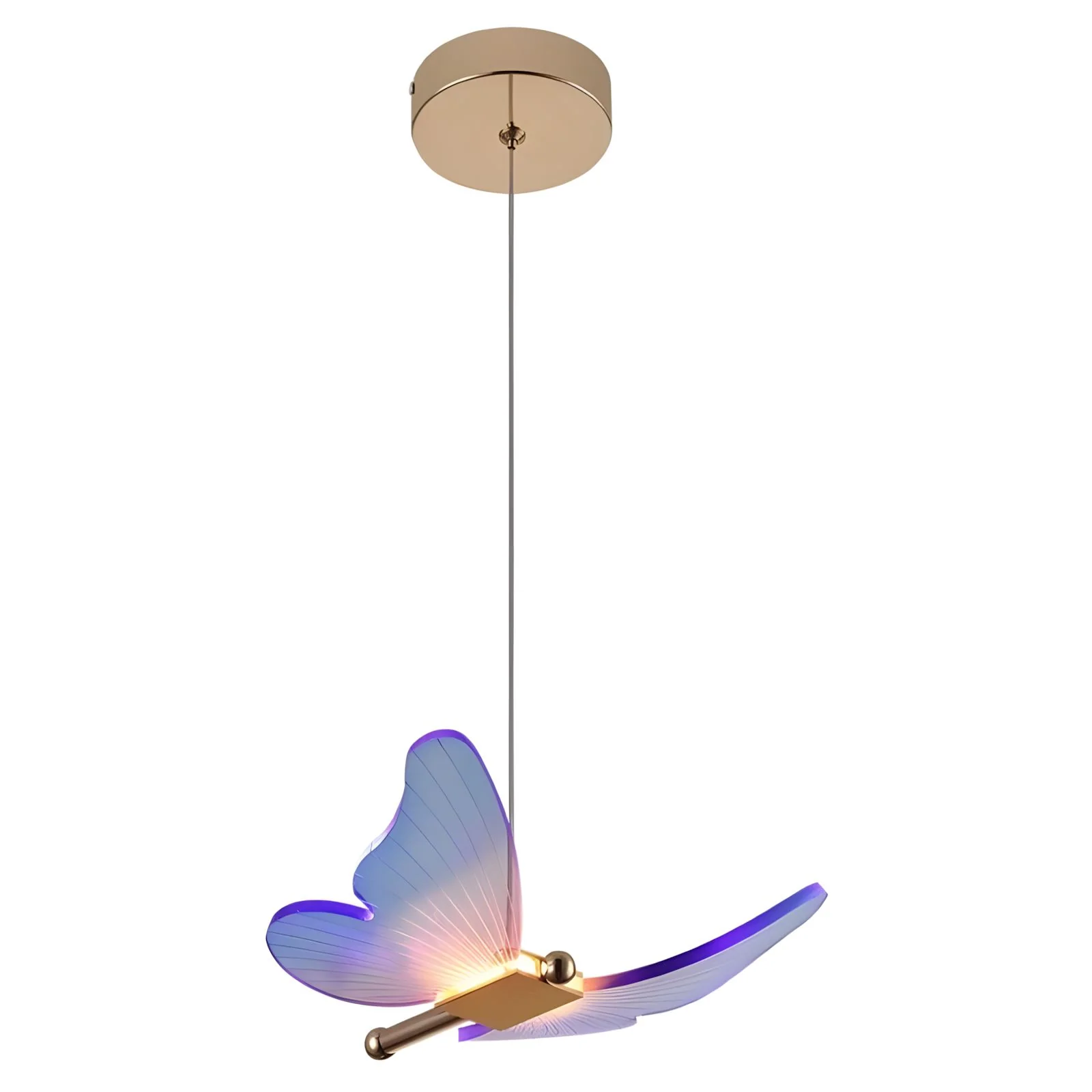 WINGS (Open Box) - Image 22