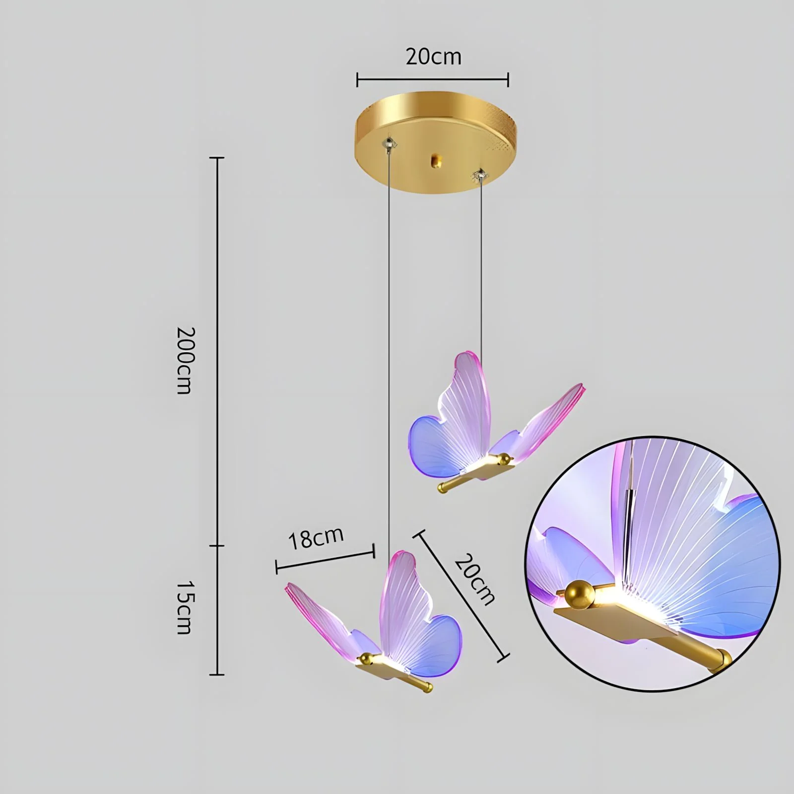 WINGS (Open Box) - Image 38