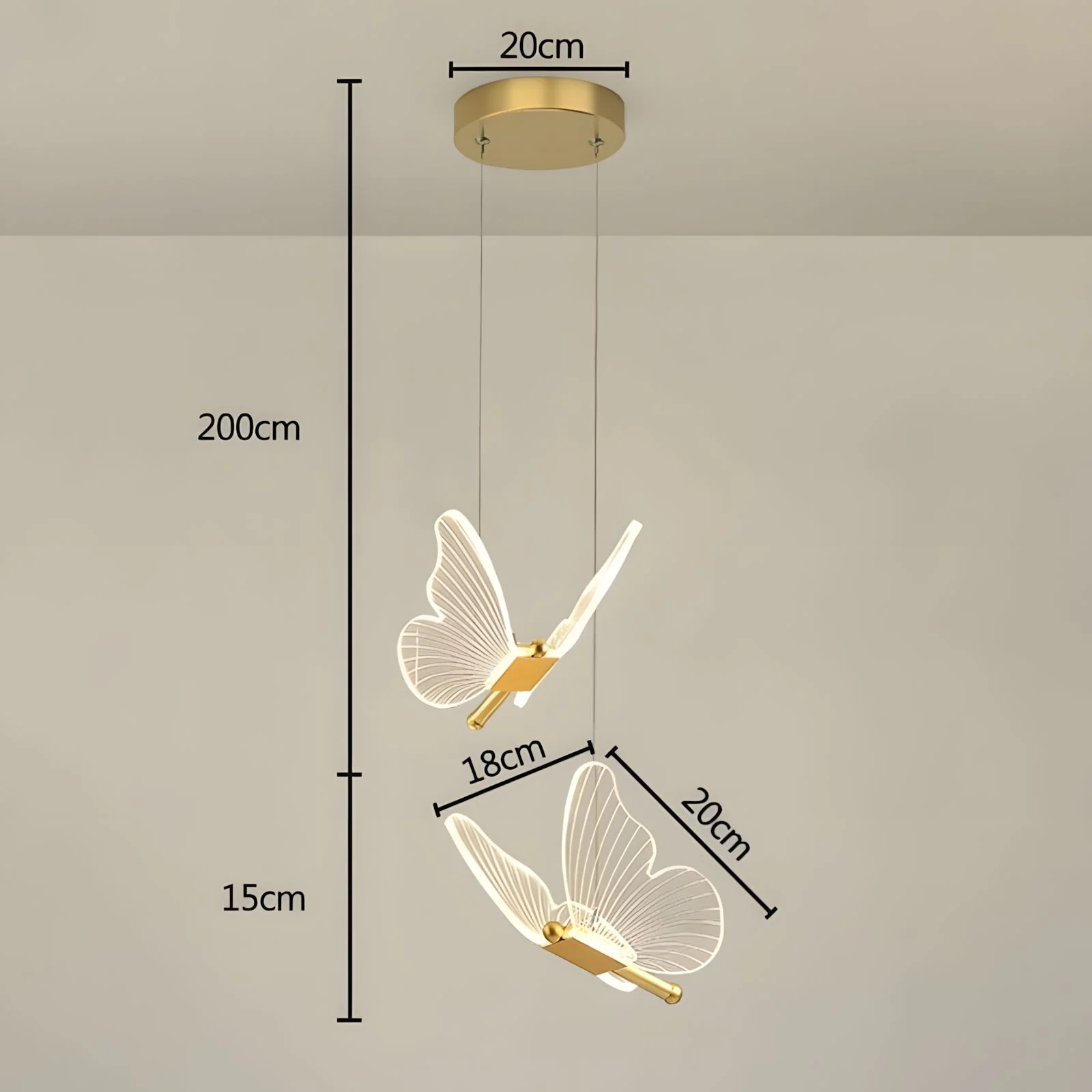 WINGS (Open Box) - Image 6