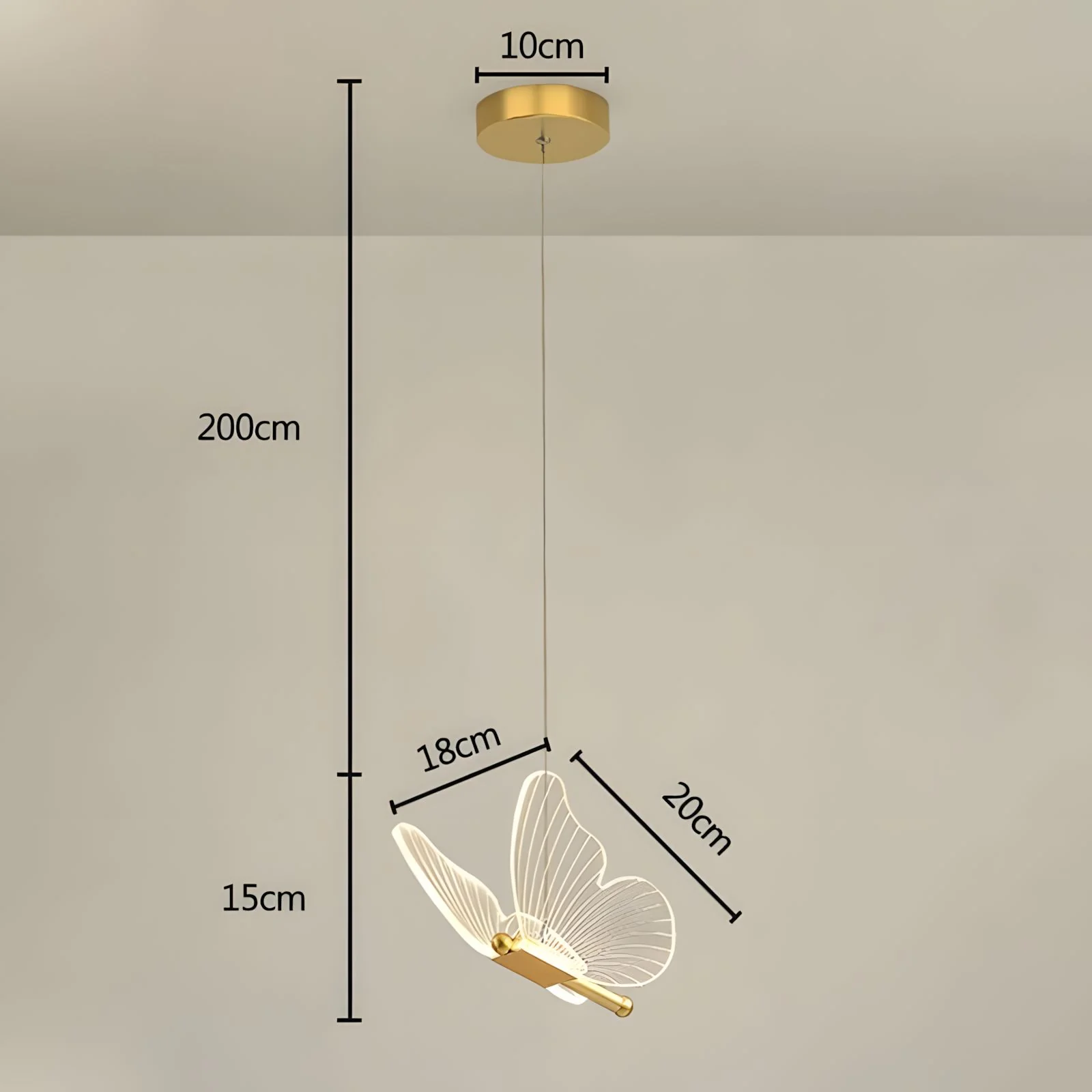 WINGS (Open Box) - Image 7